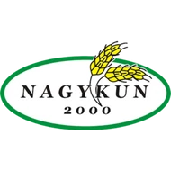 Nagykun rizs