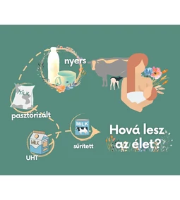 A tej és feldolgozási módjai