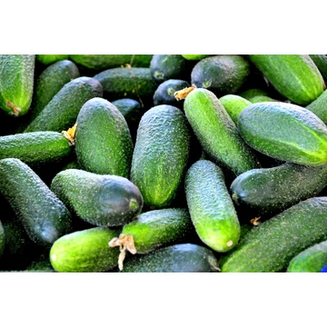 Bio Fürtös uborka 0,5kg
