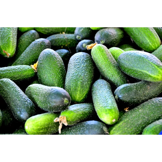 Bio Fürtös uborka 0,5kg