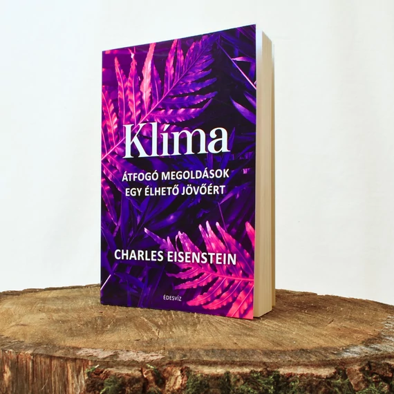 Charles Eisenstein klima